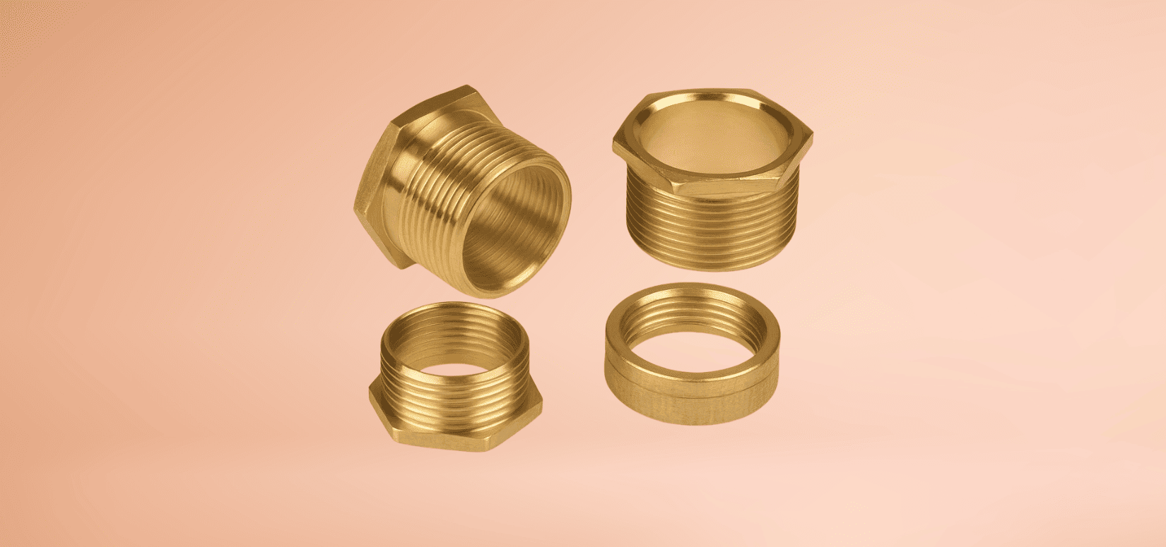 Brass Sanitary Bush