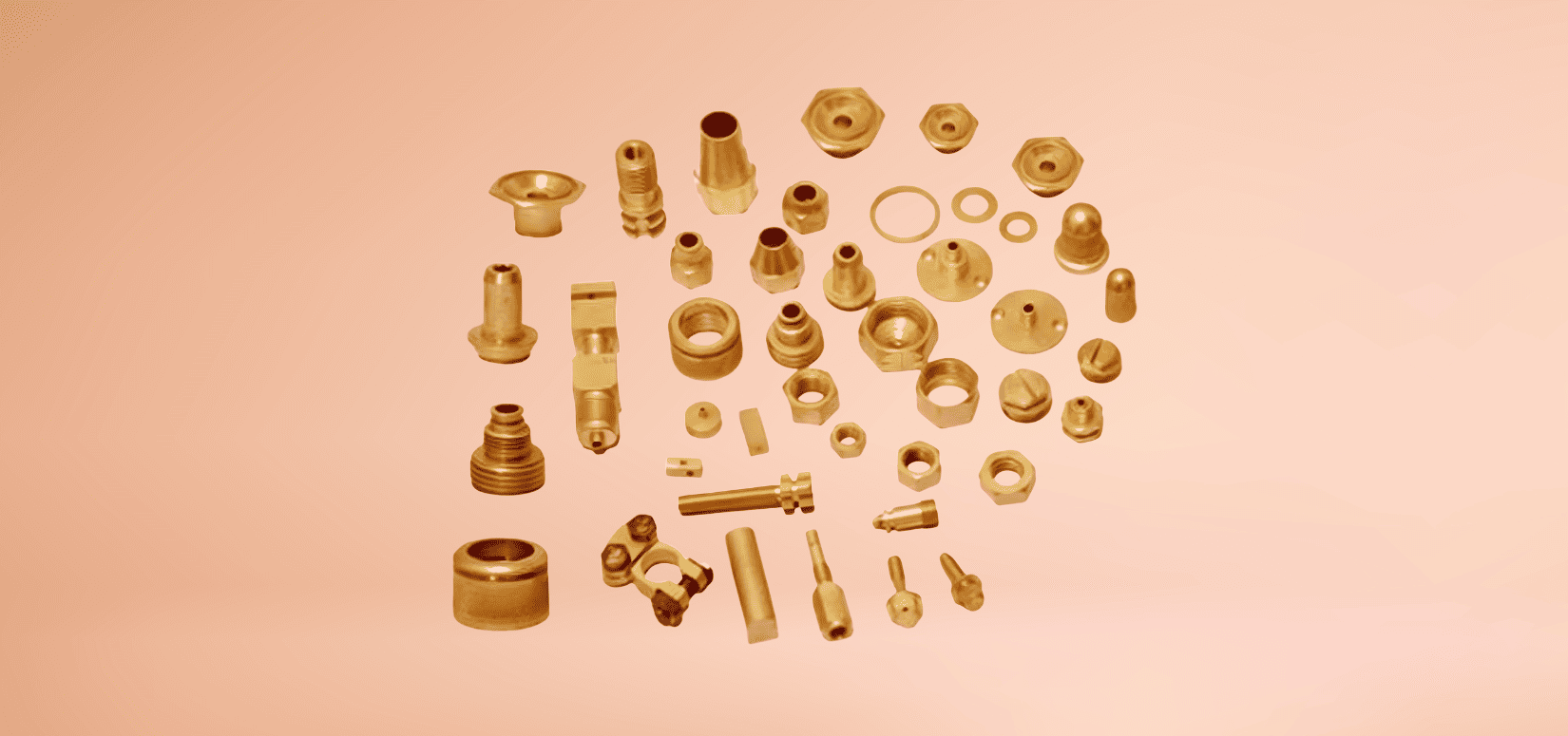 Brass Forged Sanitary Parts