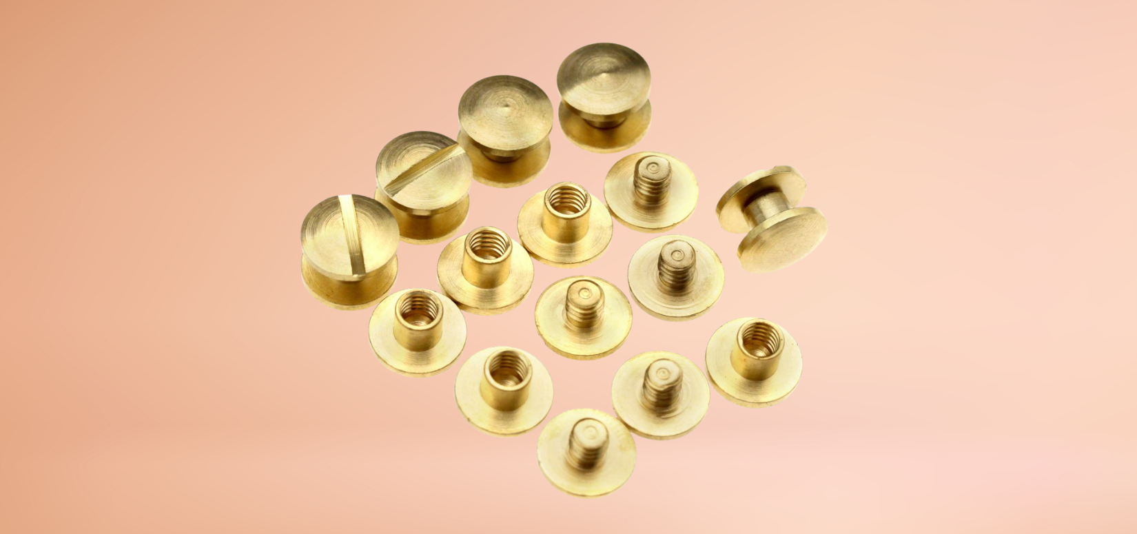 Brass Rivets bolt
